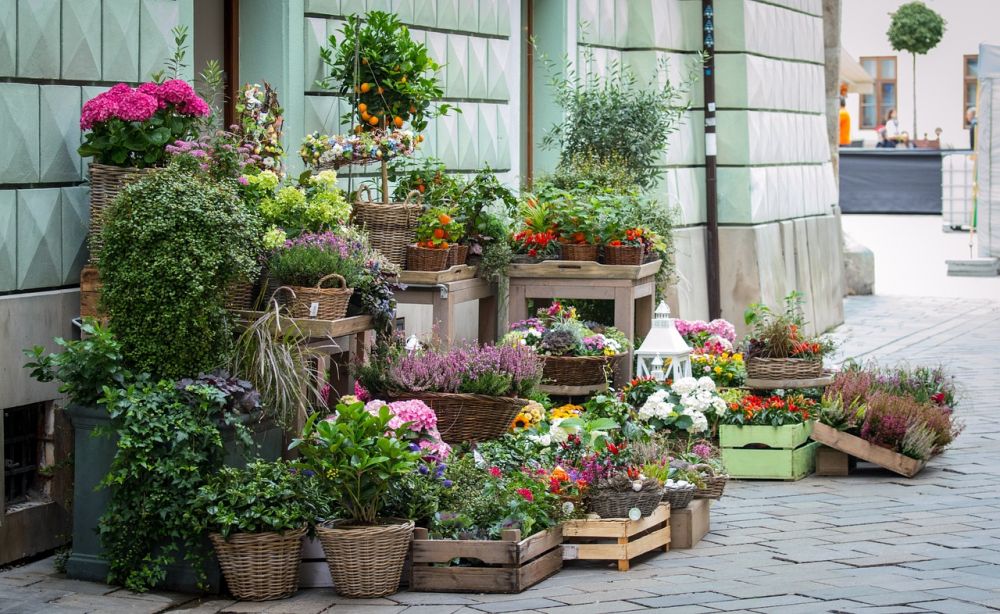 Blomsterbutikk i oslo  slik finner du de beste blomstene til enhver anledning